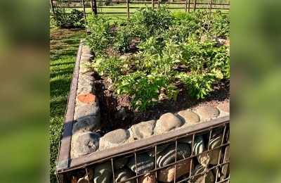 Organic-Garden-LosLagos-Sedona