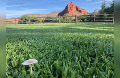 Red-Rock-Views-Lawn-LosLagos-Sedona